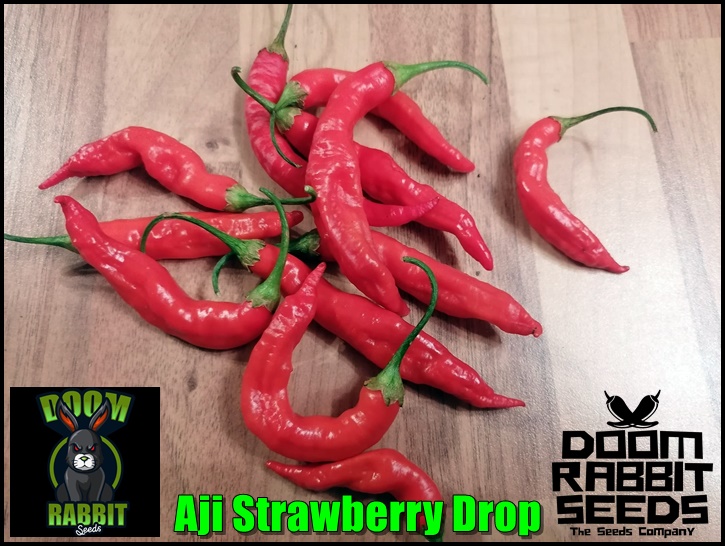 Strawberry Drop Chilisamen online kaufen