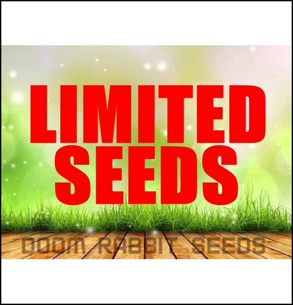 Limitiertes Saatgut Doom Rabbit Seeds
