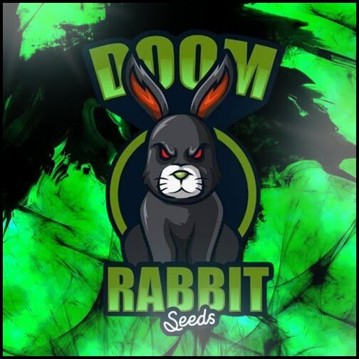 DOOM RABBIT SEEDS Chilisamen