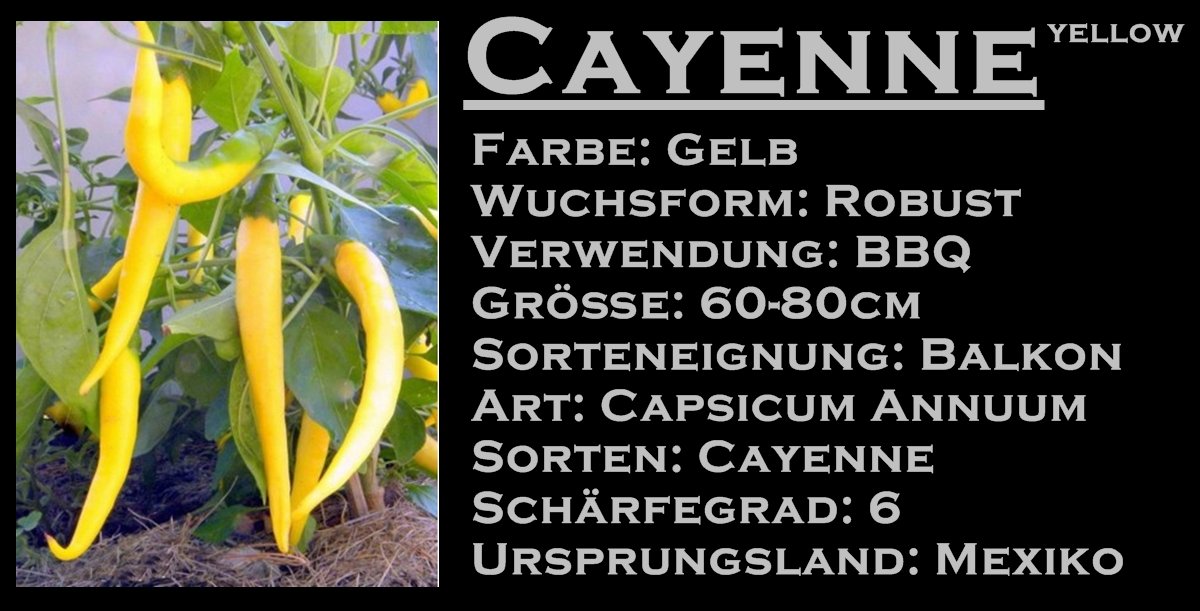 Cayenne Yellow