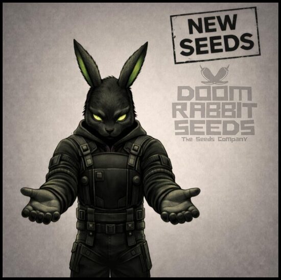 Neue Sorten - New Seeds