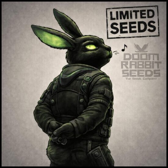 Limited Seeds 