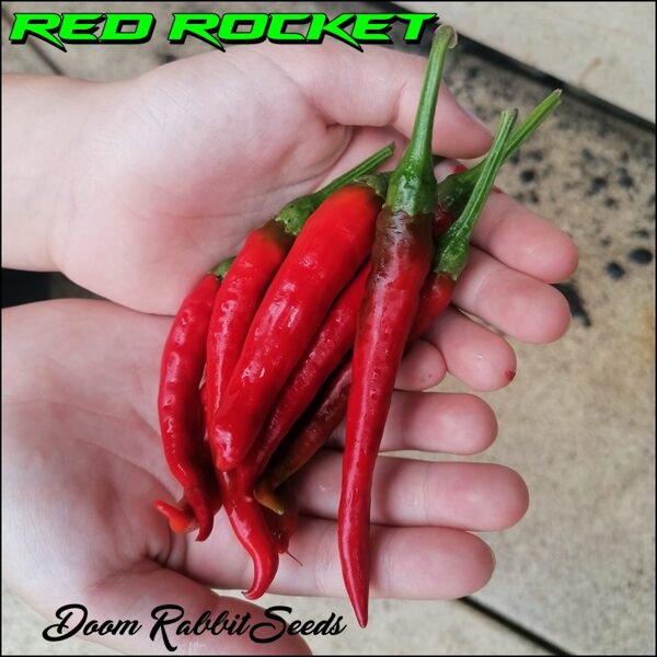 Red Rocket