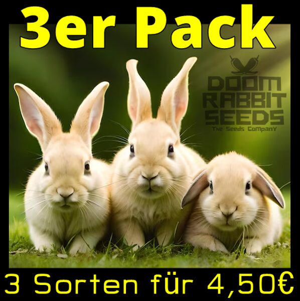 3 Sorten Pack