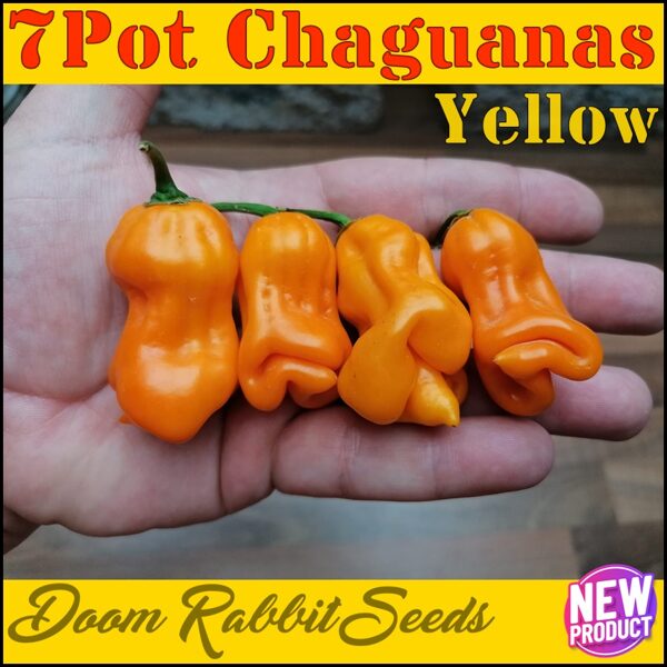 7 Pot Chaguanas Yellow
