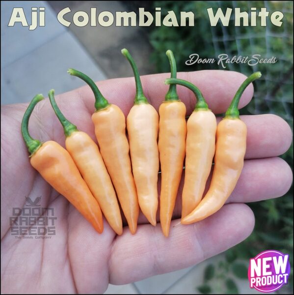 Aji Colombian White