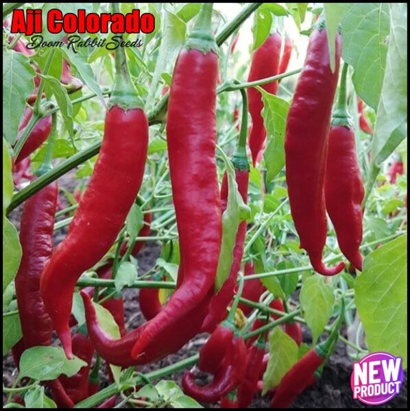 Aji Colorado