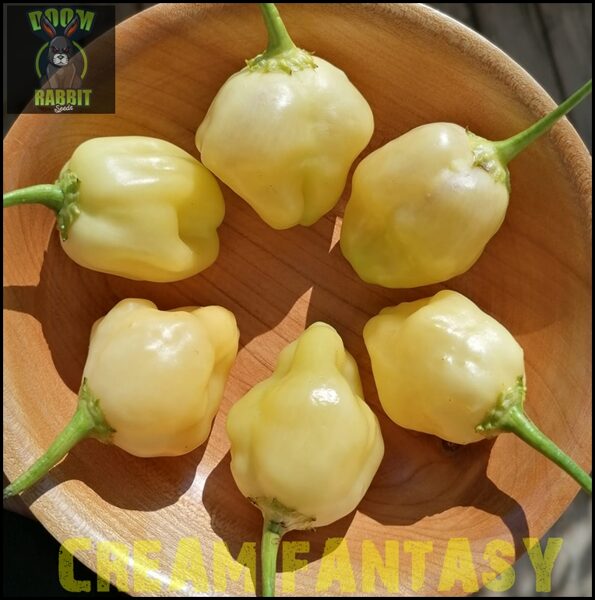 Aji Fantasy Cream