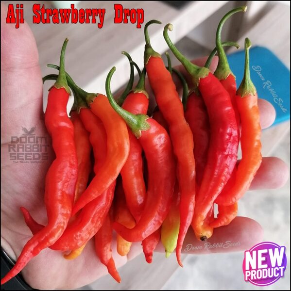 Aji Strawberry Drop