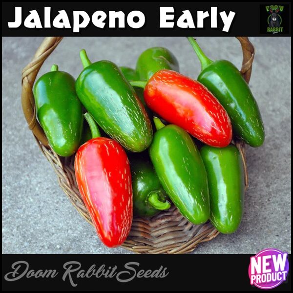 Jalapeno Early