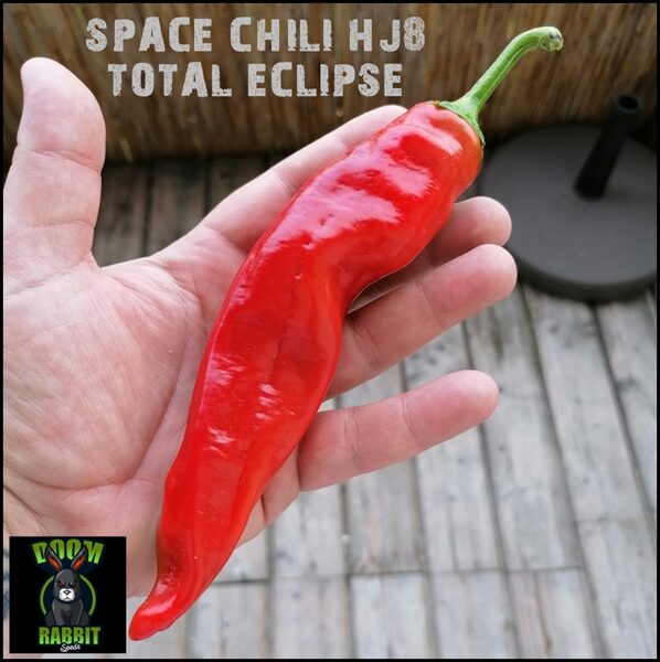 Hangjiao 8 - Total Eclipse