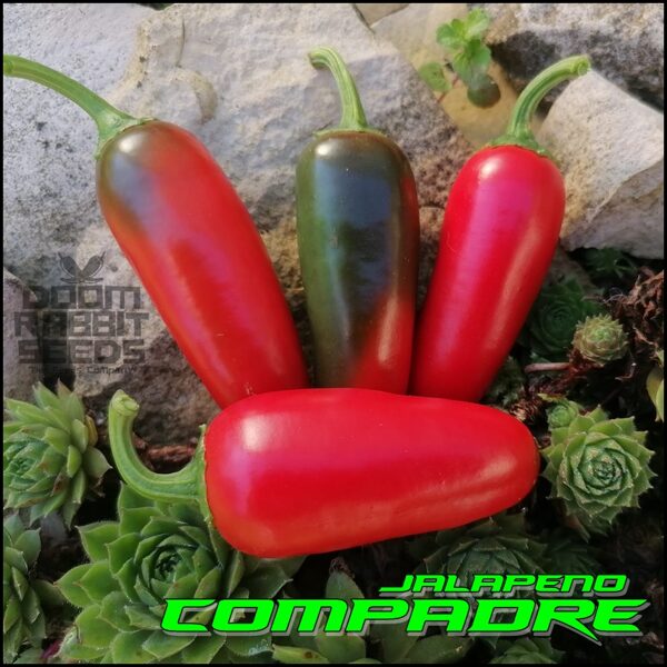 Jalapeno Compadre