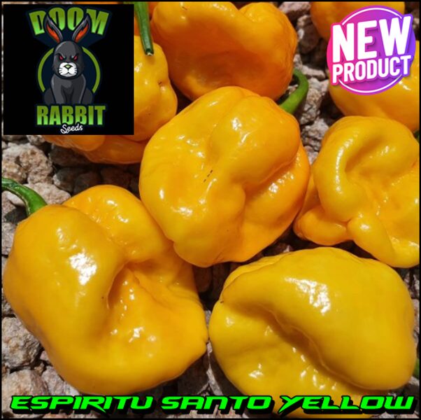 Espiritu Santo Yellow (S.B.)