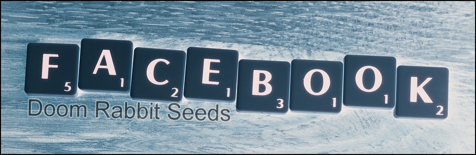 Facebook Auftritt von Doom Rabbit Seeds auf Facebook 