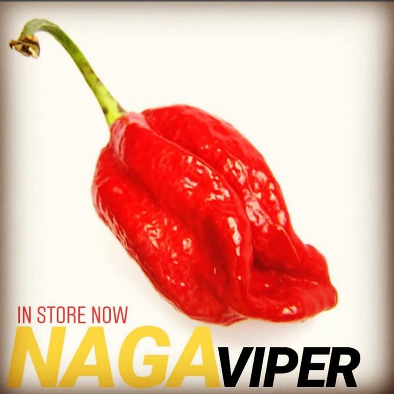Naga Viper Chili - Saatgut - Doom Rabbit Seeds - Capsicum chinensen