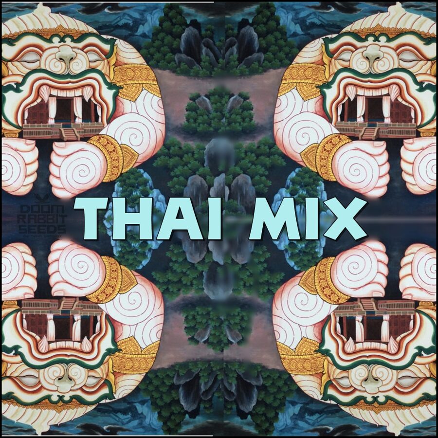 Chili Saatgut Mix Thai Chili Mix Doom Rabbit Seeds